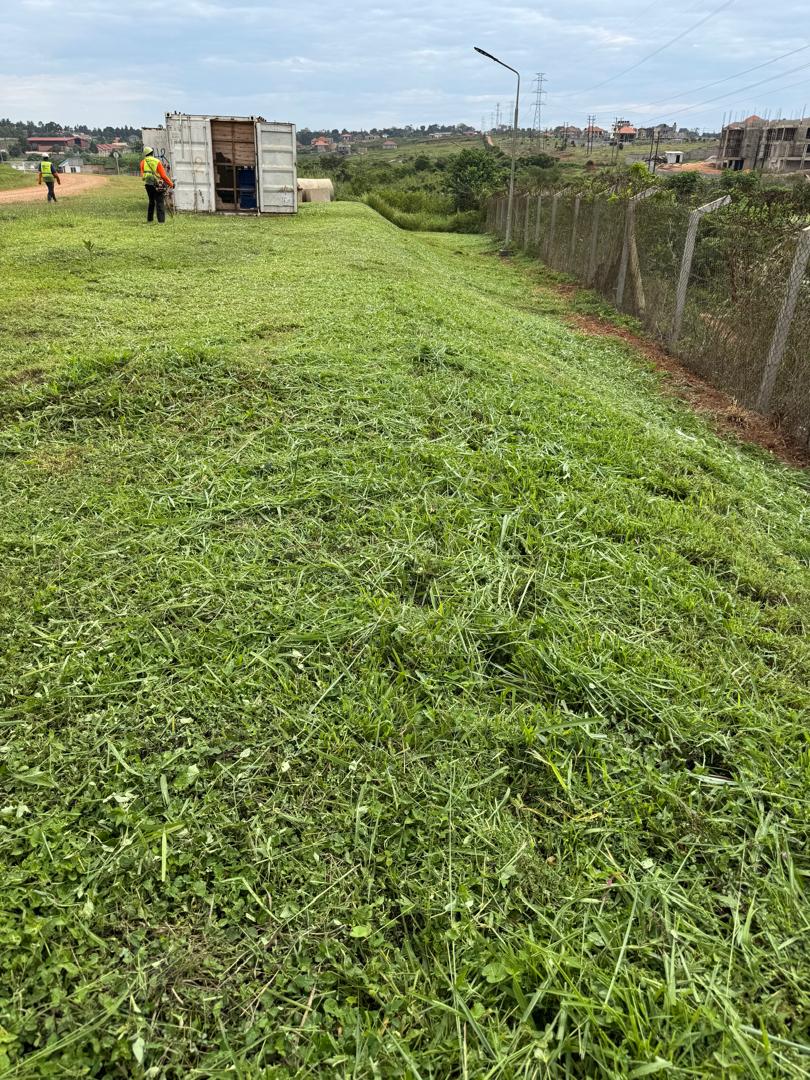 Lawn mowing at client site