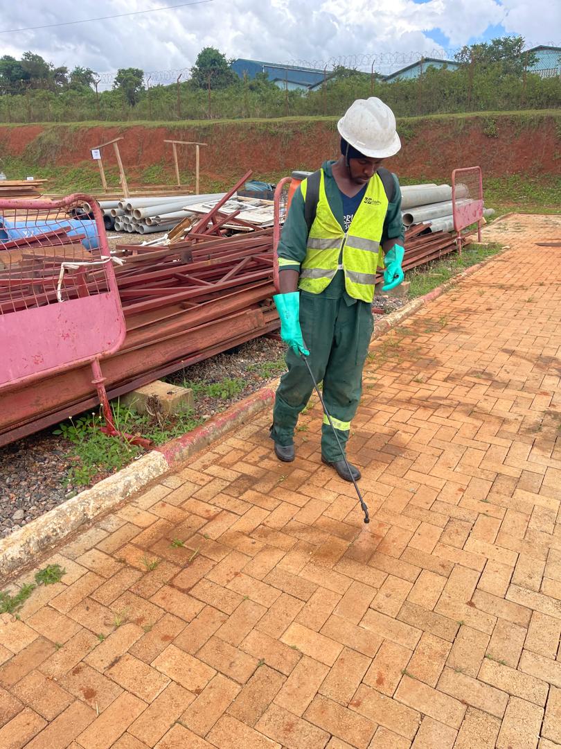 Fumigation service