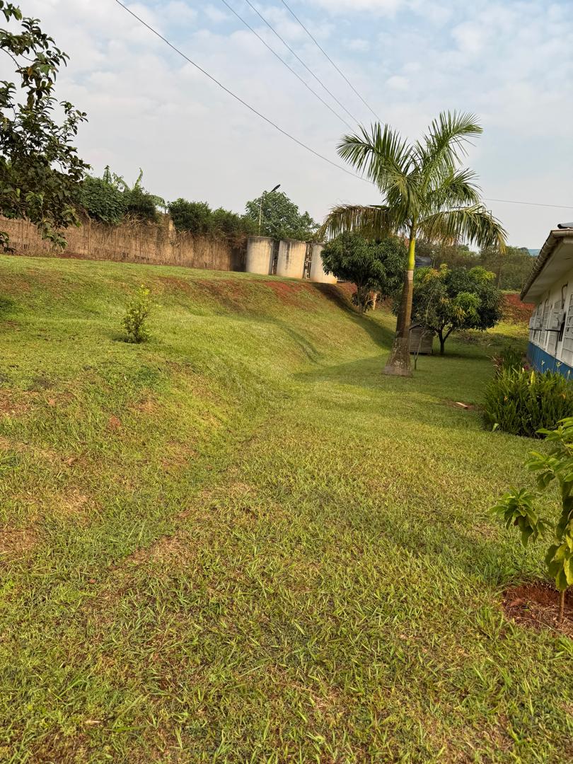 Compound grounds cleaning